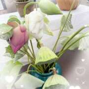 ヒメ日記 2025/07/28 14:20 投稿 岡田るみ 五十路マダム宇都宮店(カサブランカグループ)