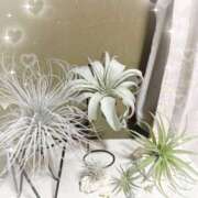 ヒメ日記 2025/08/07 20:58 投稿 岡田るみ 五十路マダム宇都宮店(カサブランカグループ)