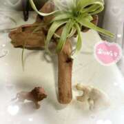 ヒメ日記 2025/08/29 11:34 投稿 岡田るみ 五十路マダム宇都宮店(カサブランカグループ)