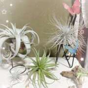 ヒメ日記 2025/09/01 17:58 投稿 岡田るみ 五十路マダム宇都宮店(カサブランカグループ)