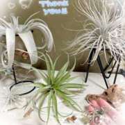 ヒメ日記 2025/09/15 08:14 投稿 岡田るみ 五十路マダム宇都宮店(カサブランカグループ)