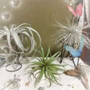 ヒメ日記 2025/09/24 07:56 投稿 岡田るみ 五十路マダム宇都宮店(カサブランカグループ)