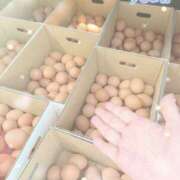 ヒメ日記 2025/09/24 11:06 投稿 岡田るみ 五十路マダム宇都宮店(カサブランカグループ)