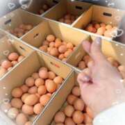 ヒメ日記 2025/10/23 11:12 投稿 岡田るみ 五十路マダム宇都宮店(カサブランカグループ)