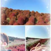 ヒメ日記 2025/10/30 18:28 投稿 岡田るみ 五十路マダム宇都宮店(カサブランカグループ)