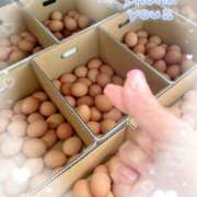 ヒメ日記 2025/11/13 10:10 投稿 岡田るみ 五十路マダム宇都宮店(カサブランカグループ)