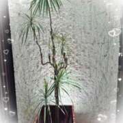 ヒメ日記 2025/11/27 21:38 投稿 岡田るみ 五十路マダム宇都宮店(カサブランカグループ)