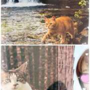 ヒメ日記 2025/12/15 17:26 投稿 岡田るみ 五十路マダム宇都宮店(カサブランカグループ)