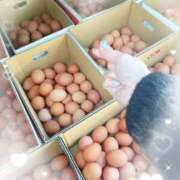 ヒメ日記 2025/12/18 10:00 投稿 岡田るみ 五十路マダム宇都宮店(カサブランカグループ)