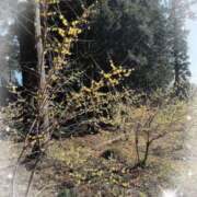 ヒメ日記 2026/02/03 14:20 投稿 岡田るみ 五十路マダム宇都宮店(カサブランカグループ)