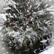 ヒメ日記 2026/02/08 11:28 投稿 岡田るみ 五十路マダム宇都宮店(カサブランカグループ)