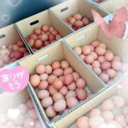 ヒメ日記 2026/02/09 11:16 投稿 岡田るみ 五十路マダム宇都宮店(カサブランカグループ)