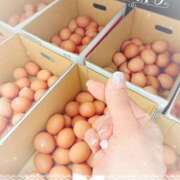 ヒメ日記 2026/02/25 11:18 投稿 岡田るみ 五十路マダム宇都宮店(カサブランカグループ)