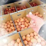 ヒメ日記 2026/03/16 10:12 投稿 岡田るみ 五十路マダム宇都宮店(カサブランカグループ)