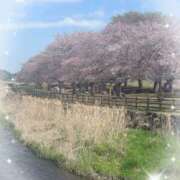 ヒメ日記 2026/04/09 09:58 投稿 岡田るみ 五十路マダム宇都宮店(カサブランカグループ)