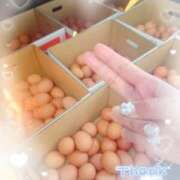 ヒメ日記 2026/04/09 10:12 投稿 岡田るみ 五十路マダム宇都宮店(カサブランカグループ)