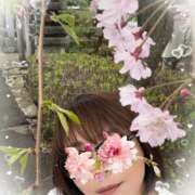 ヒメ日記 2026/04/09 12:32 投稿 岡田るみ 五十路マダム宇都宮店(カサブランカグループ)