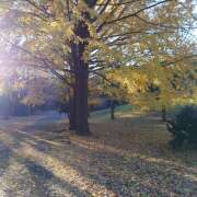 ヒメ日記 2024/12/11 08:51 投稿 ヤヨイ Club 妻