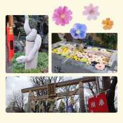 ヒメ日記 2025/02/03 19:43 投稿 ヤヨイ Club 妻