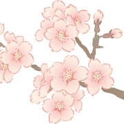 ヒメ日記 2025/03/03 20:51 投稿 ヤヨイ Club 妻