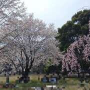 ヒメ日記 2025/03/27 21:35 投稿 ヤヨイ Club 妻