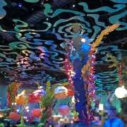 ヒメ日記 2025/07/16 22:31 投稿 ヤヨイ Club 妻