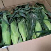 ヒメ日記 2025/08/04 22:57 投稿 ヤヨイ Club 妻