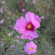 ヒメ日記 2025/10/02 23:02 投稿 ヤヨイ Club 妻