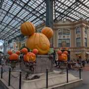 ヒメ日記 2025/10/19 21:59 投稿 ヤヨイ Club 妻