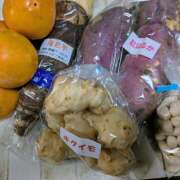 ヒメ日記 2025/11/10 21:00 投稿 ヤヨイ Club 妻