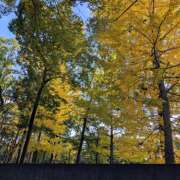 ヒメ日記 2025/11/11 09:46 投稿 ヤヨイ Club 妻