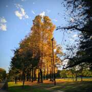 ヒメ日記 2025/11/14 21:45 投稿 ヤヨイ Club 妻