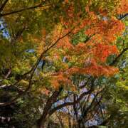 ヒメ日記 2025/11/23 22:38 投稿 ヤヨイ Club 妻