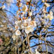 ヒメ日記 2026/02/21 22:29 投稿 ヤヨイ Club 妻