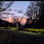 ヒメ日記 2026/02/24 08:51 投稿 ヤヨイ Club 妻