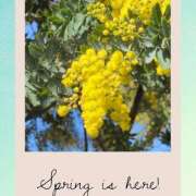 ヒメ日記 2026/03/08 22:42 投稿 ヤヨイ Club 妻