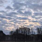 ヒメ日記 2026/04/05 19:32 投稿 ヤヨイ Club 妻