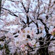 ヒメ日記 2026/04/06 14:16 投稿 ヤヨイ Club 妻