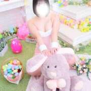 ヒメ日記 2026/03/12 17:17 投稿 ちほ サンキュー沼津店（サンキューグループ）