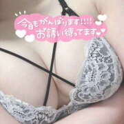 ヒメ日記 2025/12/06 16:09 投稿 ふたば 迷宮の人妻　熊谷・行田発