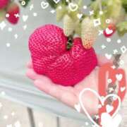 ヒメ日記 2025/02/08 08:30 投稿 きょん ここ恋