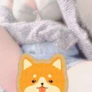 ヒメ日記 2025/05/20 07:40 投稿 きょん ここ恋