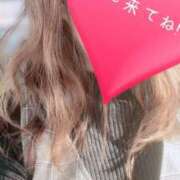 ヒメ日記 2025/05/29 07:30 投稿 きょん ここ恋