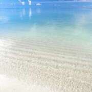 ヒメ日記 2025/07/16 07:50 投稿 きょん ここ恋