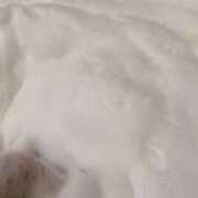 ヒメ日記 2026/02/05 07:50 投稿 きょん ここ恋