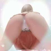 ヒメ日記 2025/06/07 07:01 投稿 らな 沼津人妻花壇