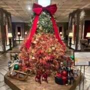 ヒメ日記 2025/12/02 23:50 投稿 如月れいか 渋谷エオス