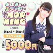 ヒメ日記 2025/05/03 05:45 投稿 しおり エデン