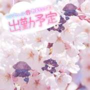 ヒメ日記 2025/04/06 18:20 投稿 あやな 人妻熟女奉仕倶楽部