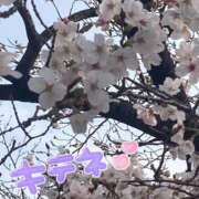 ヒメ日記 2026/03/28 17:00 投稿 あやな 人妻熟女奉仕倶楽部